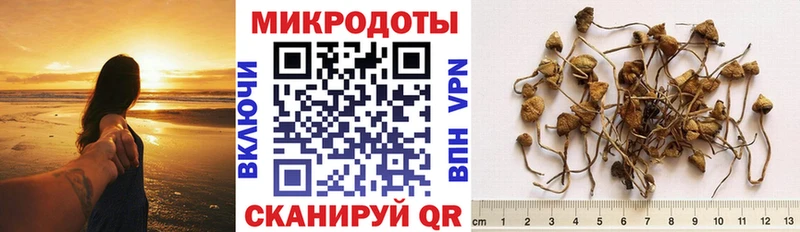 Галлюциногенные грибы MAGIC MUSHROOMS  Горняк 
